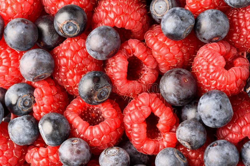 Raspberries and Blueberries Mix Stock Image Image of isolated