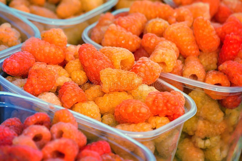 Raspberries in Containers for Sale. Stock Photo Image of shop