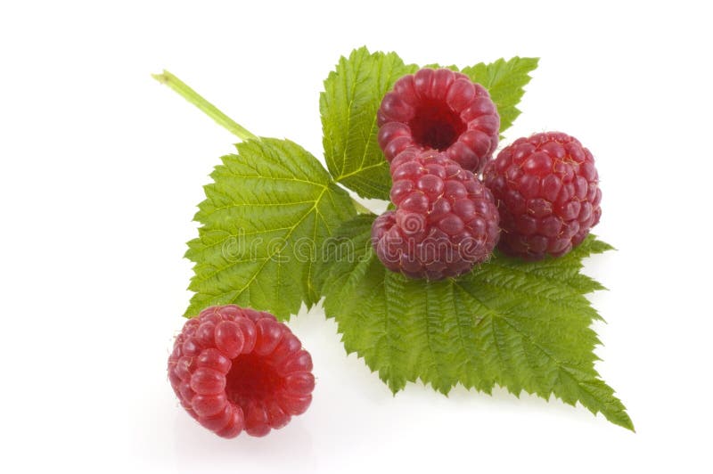 Raspberries on a leaf.