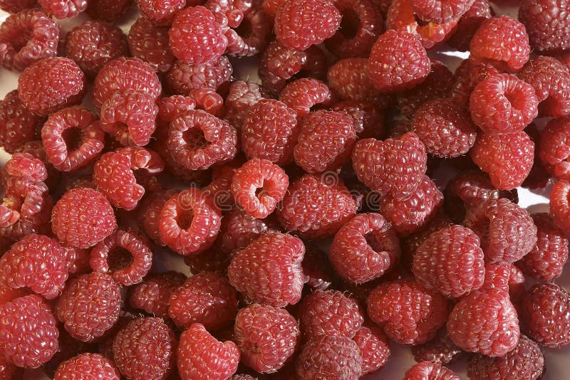 Raspberries pattern