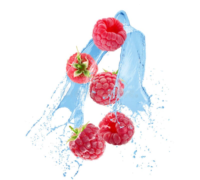 Raspberries in Water Splash on a Blue Background Stock Image Image of