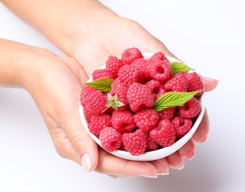 Raspberries in woman hands.