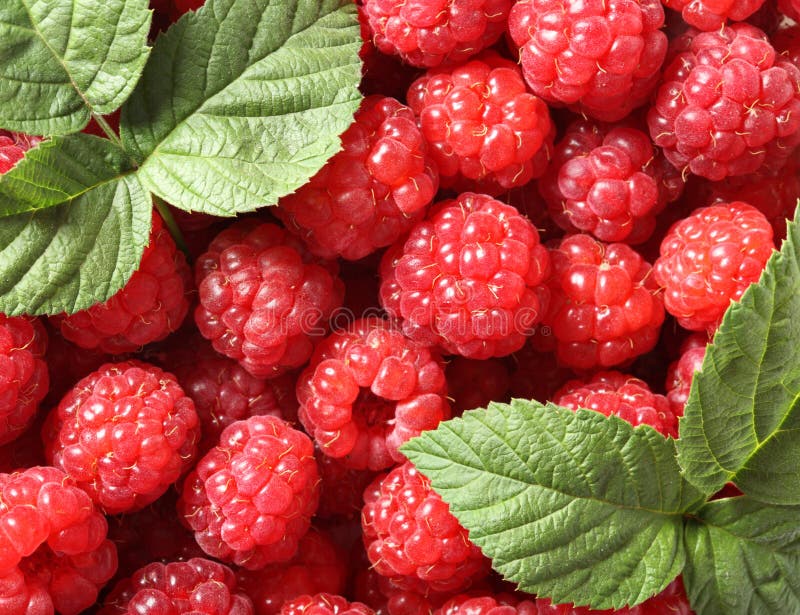 Raspberry