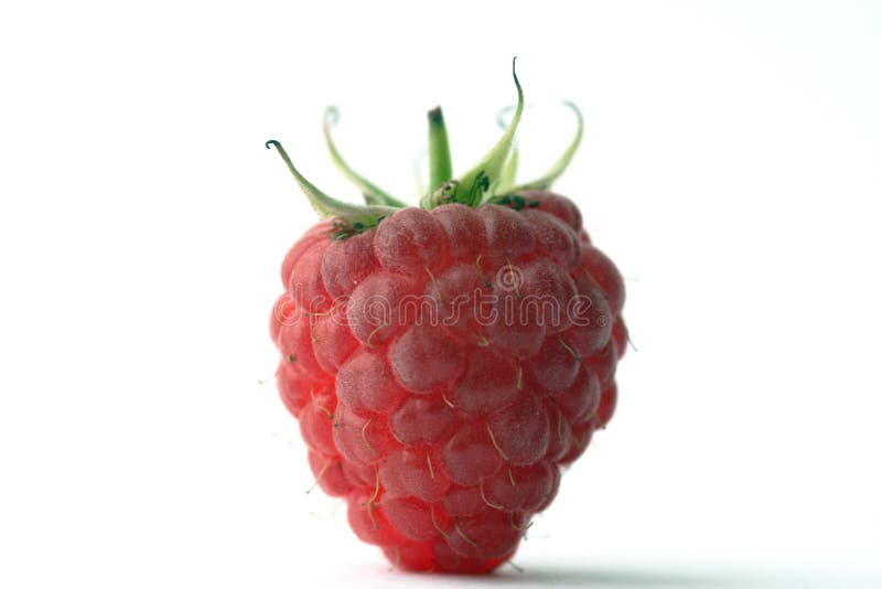 Raspberry