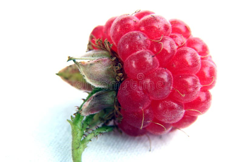 Raspberry