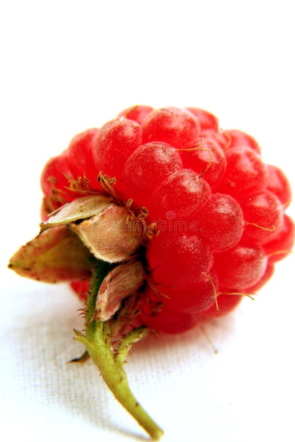 Raspberry