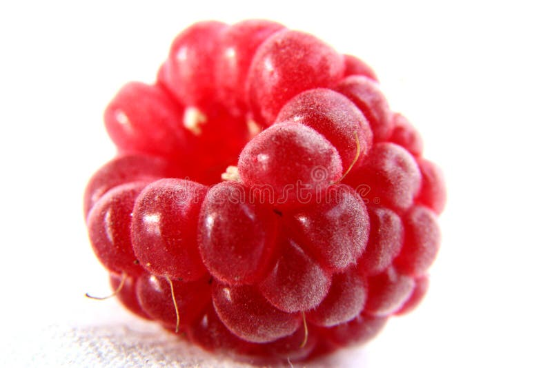 Raspberry