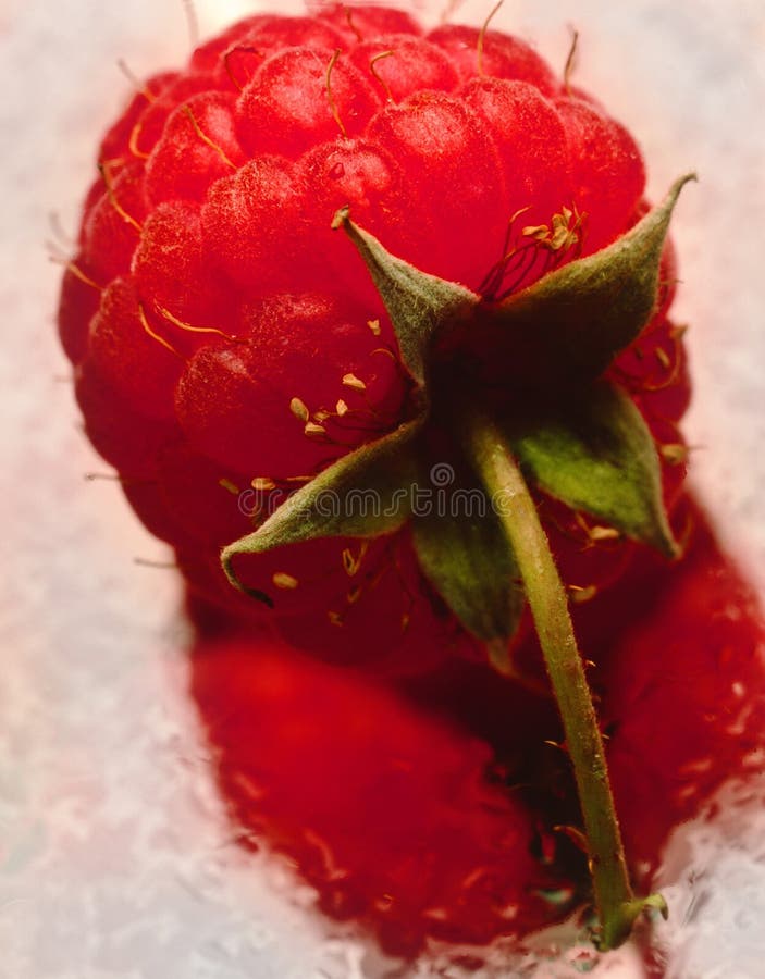 Raspberry