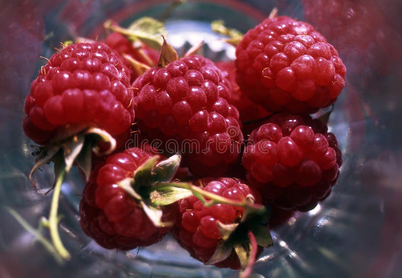 Raspberry