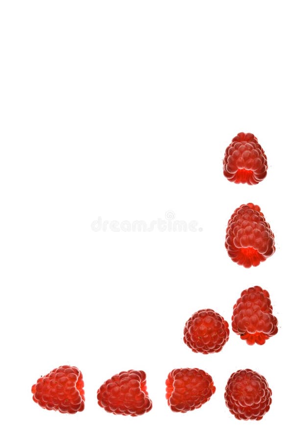 Raspberry royalty free stock images