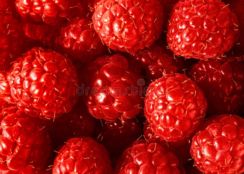 Raspberry background stock images