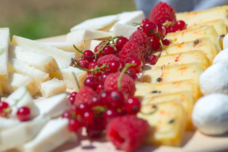 Raspberry Berries among Organic Goat Cheese in a Craft Cheese Factory. Cheeseboard Stock Image