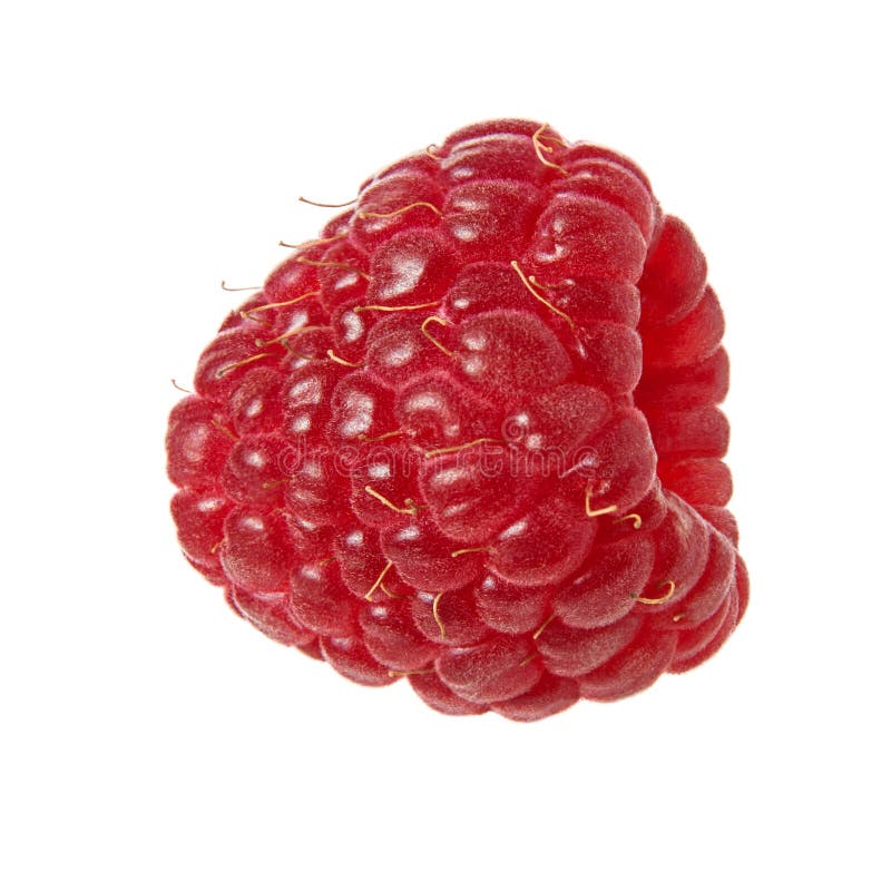Single Raspberry stock photo. Image of white, eating, object - 5341620