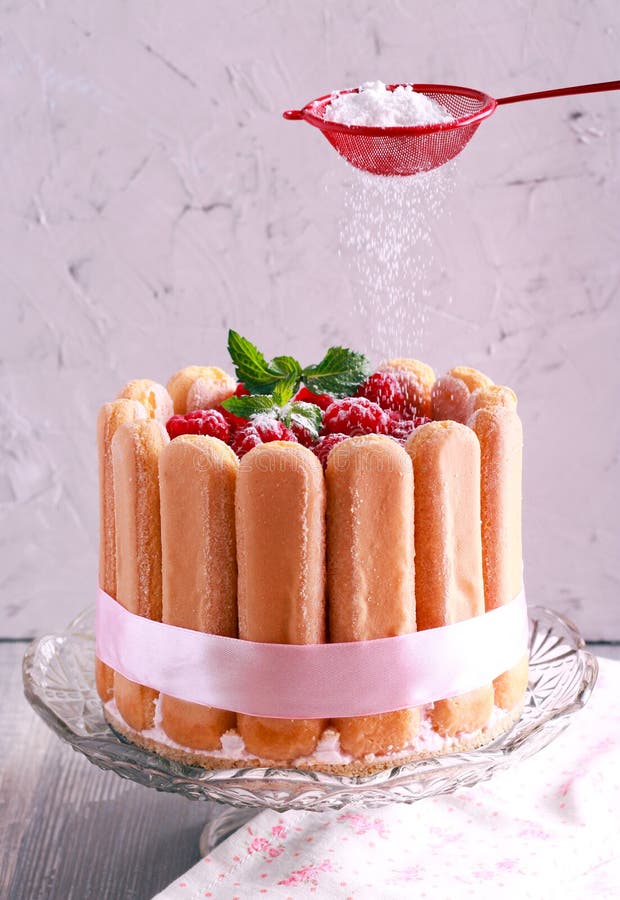 Raspberry Charlotte Cake with Icing Sugar Stock Image Image of brunch