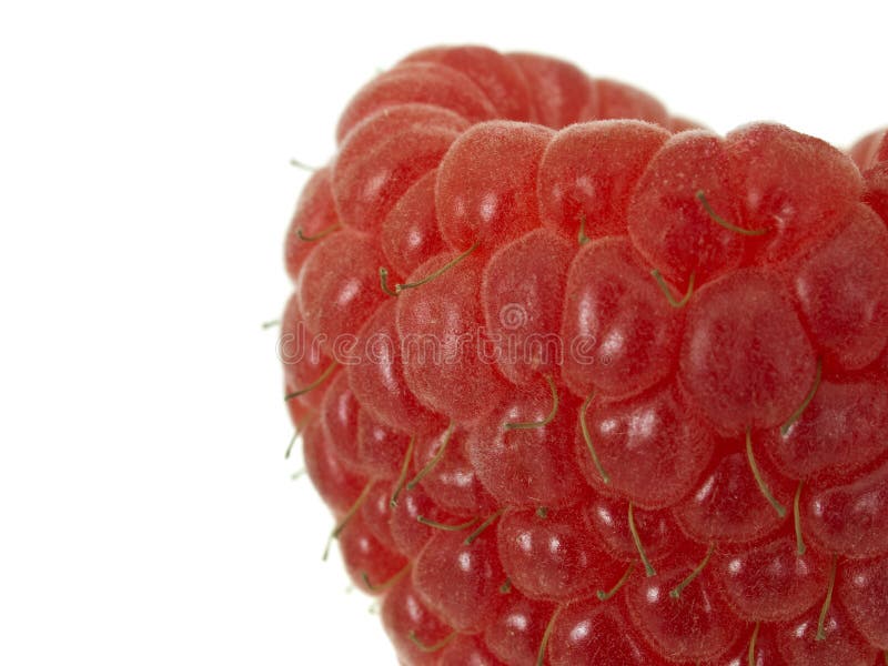 Raspberry extreme macro stock photography
