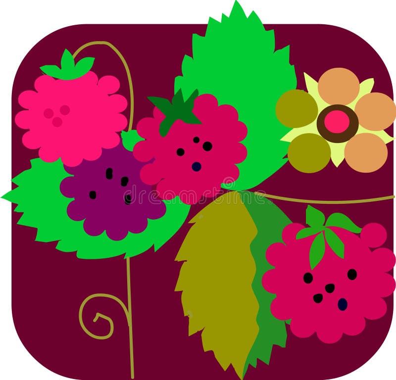 Raspberry and flowers with colorful background