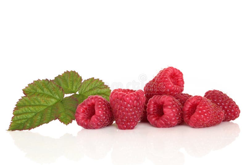 Raspberry Fruit