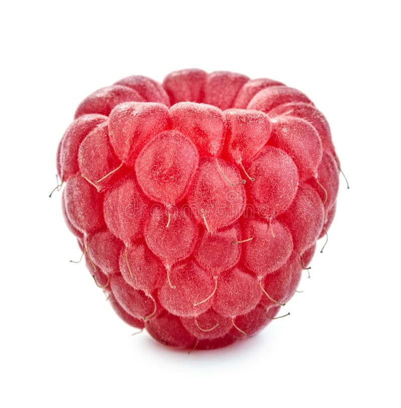 Single Rasberry stock image. Image of closeup, dessert - 21048331