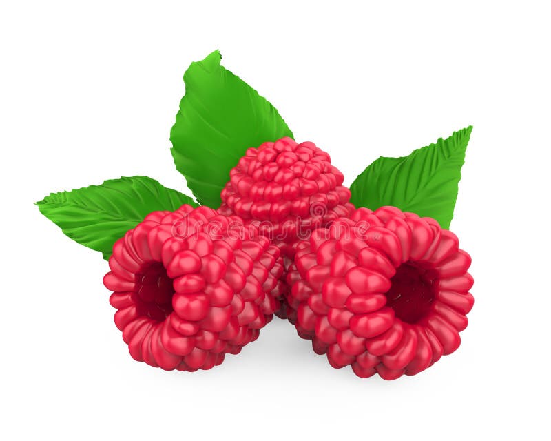 Raspberry Isolated