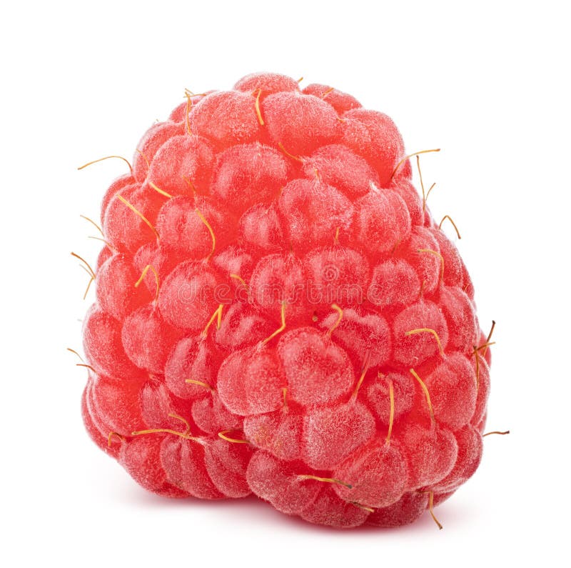 Raspberry Isolated on White Background Stock Photo - Image of diet ...