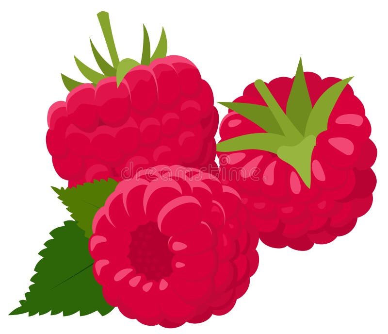 Cartoon Raspberry Clip Art