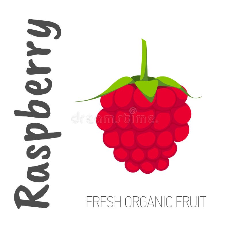 Raspberry Isolated on a White Background with the Words Raspberry Stock