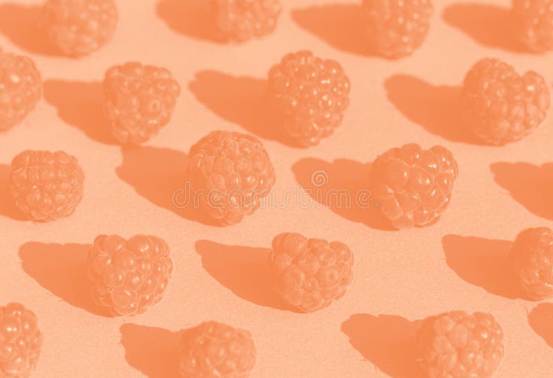 Raspberry Pattern in Trend Color of the Year 2024 Peach Fuzz. Stock ...