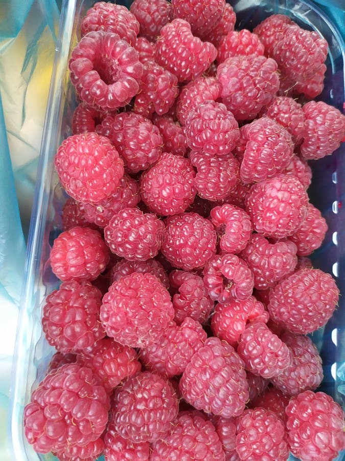 Raspberry stock photo. Image of yummy, raspberry, summer 162953898