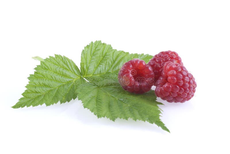 Raspeberries and a leaf.