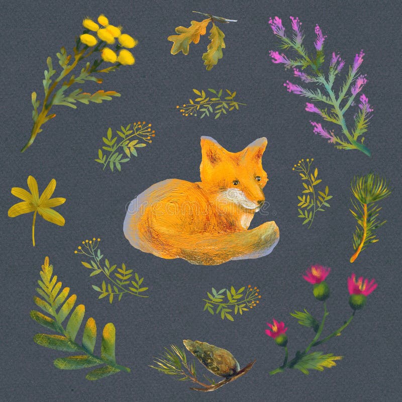 Raster illustration with fox and plants. Forest picture