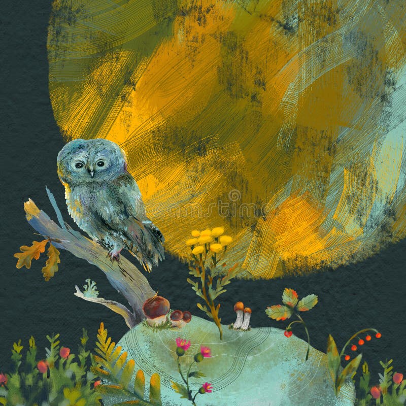 Raster illustration with an owl, plants and mushrooms. Forest picture