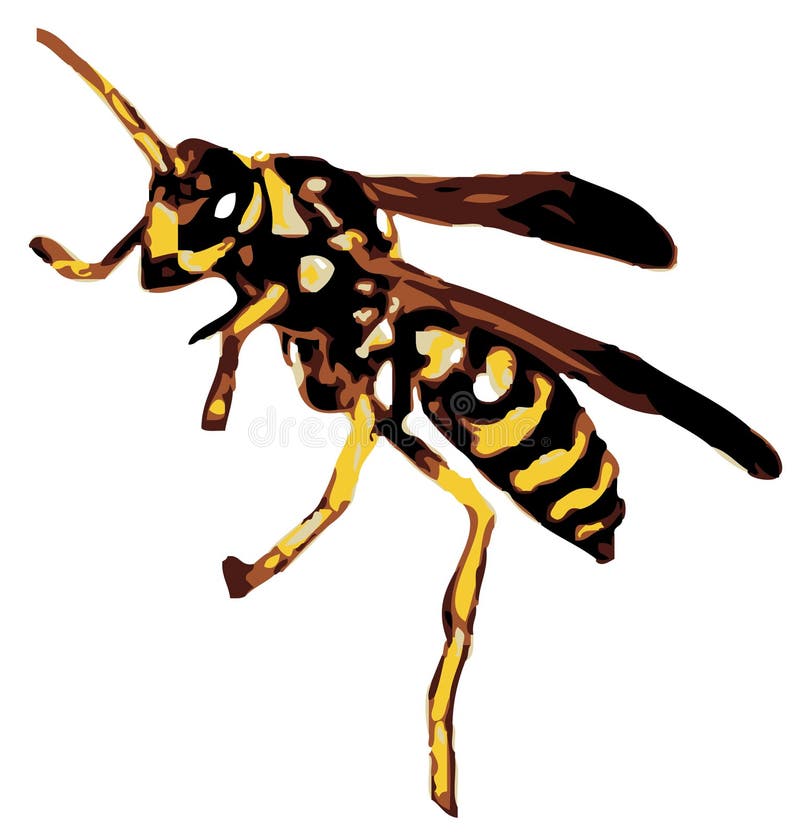 Download Rasterized Vector - Yellow Jacket Stock Illustration - Illustration of pest, black: 380897
