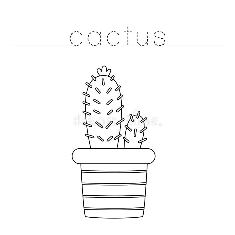 Ilustração de suculentas e cactos em preto e branco · Creative Fabrica