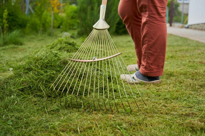 Rastrellare L'erba Nella Donna Del Giardino Con Un Rastrello Che Lavora Nel  Cortile Immagine Stock - Immagine di cura, sfondo: 229465991