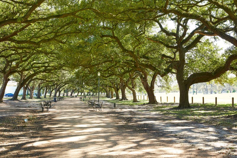 Rastro de Marvin Taylor del parque de Houston Hermann imagen de archivo libre de regalías