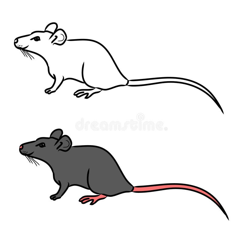 Rat, Mouse - Sketch, the Drawing in Color Stock Vector - Illustration of  line, cartoon: 60525965