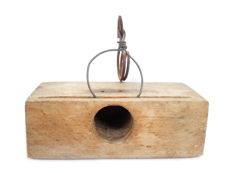 Rat trap stock photo. Image of curiosity, concept, extermination - 17024616