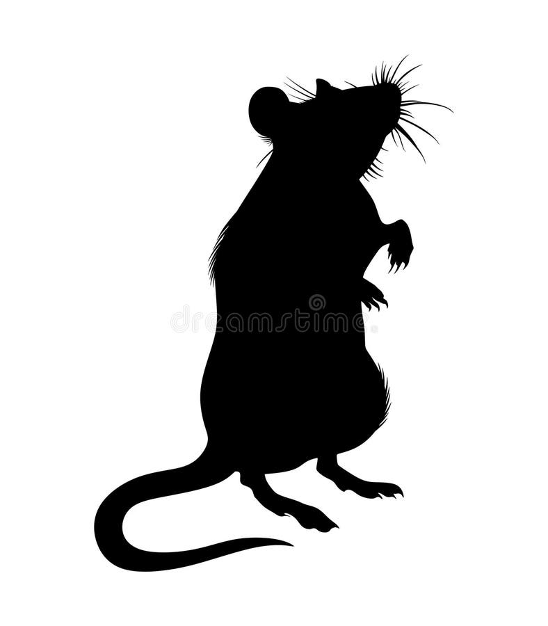Rat Ilustrações, Vetores E Clipart De Stock – (62,213 Stock Illustrations)