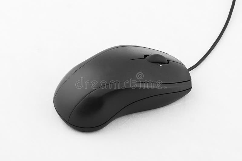 Rato preto 1 fotografia de stock Rato preto 1 fotografia de stock