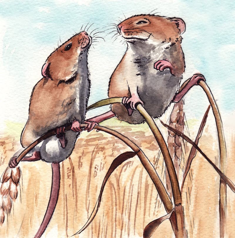 Ratones de cosecha stock de ilustración Ratones de cosecha stock de ilustración
