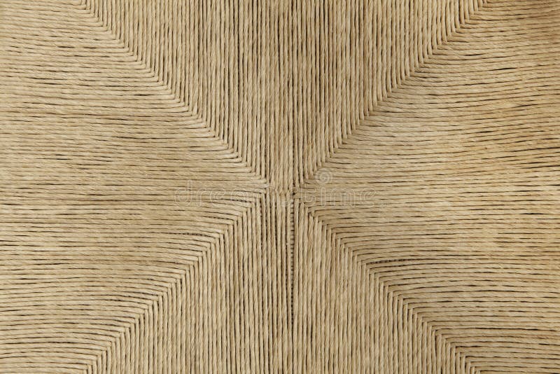 Rattan palm texture