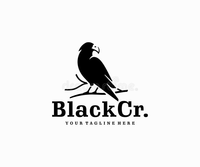 Raven wisdom logo design. Black crow sitting on a branch vector design royalty free illustration