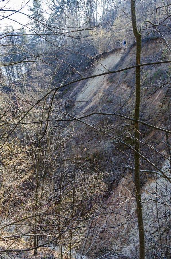 Ravins profonds surpeuplés d'arbres et de buissons dans la réserve de karoliniscaron kès image libre de droits