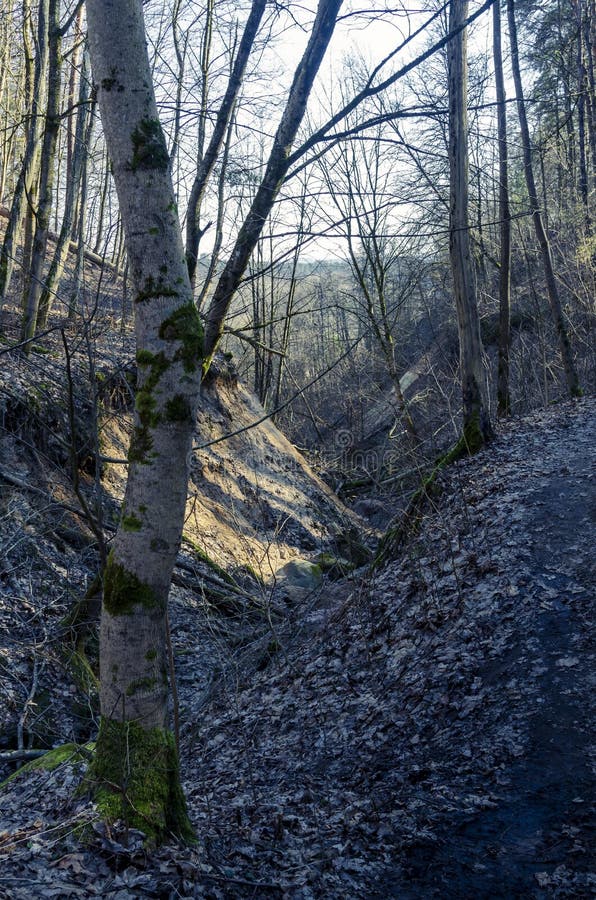 Ravins profonds surpeuplés d'arbres et de buissons dans la réserve de karoliniscaron kès image stock