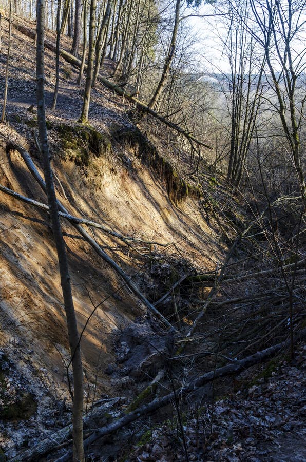 Ravins profonds surpeuplés d'arbres et de buissons dans la réserve de karoliniscaron kès images stock
