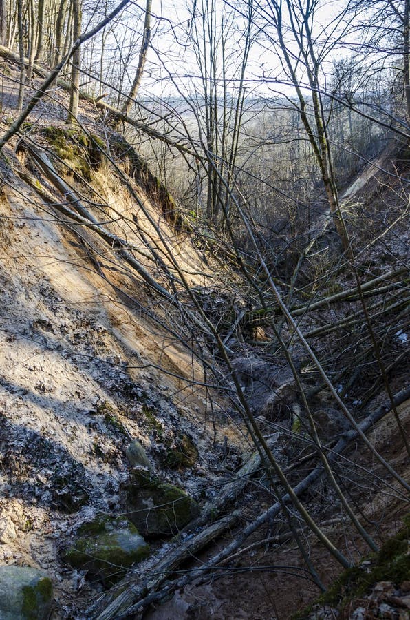 Ravins profonds surpeuplés d'arbres et de buissons dans la réserve de karoliniscaron kès image stock