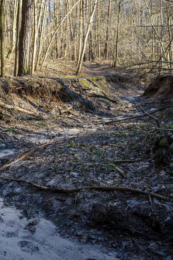 Ravins profonds surpeuplés d'arbres et de buissons dans la réserve de karoliniscaron kès images stock