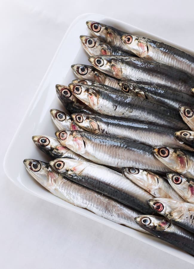 Raw Anchovies stock photo. Image of vendor, heads, silver 71373766