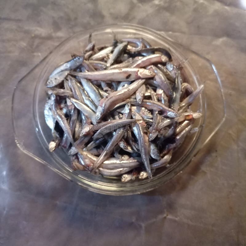 Raw anchovy in a glass plate on a wooden table on a plastic base stock photography