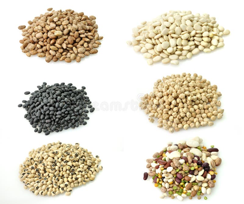 Raw Beans Collection royalty free stock images